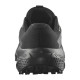 Salomon Alphaglide GTX
